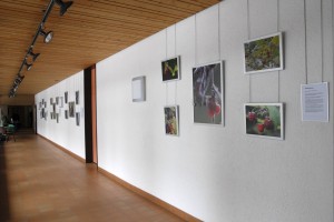 Ausstellung Foto&Duft im Heilbadzentrum St. Moritz